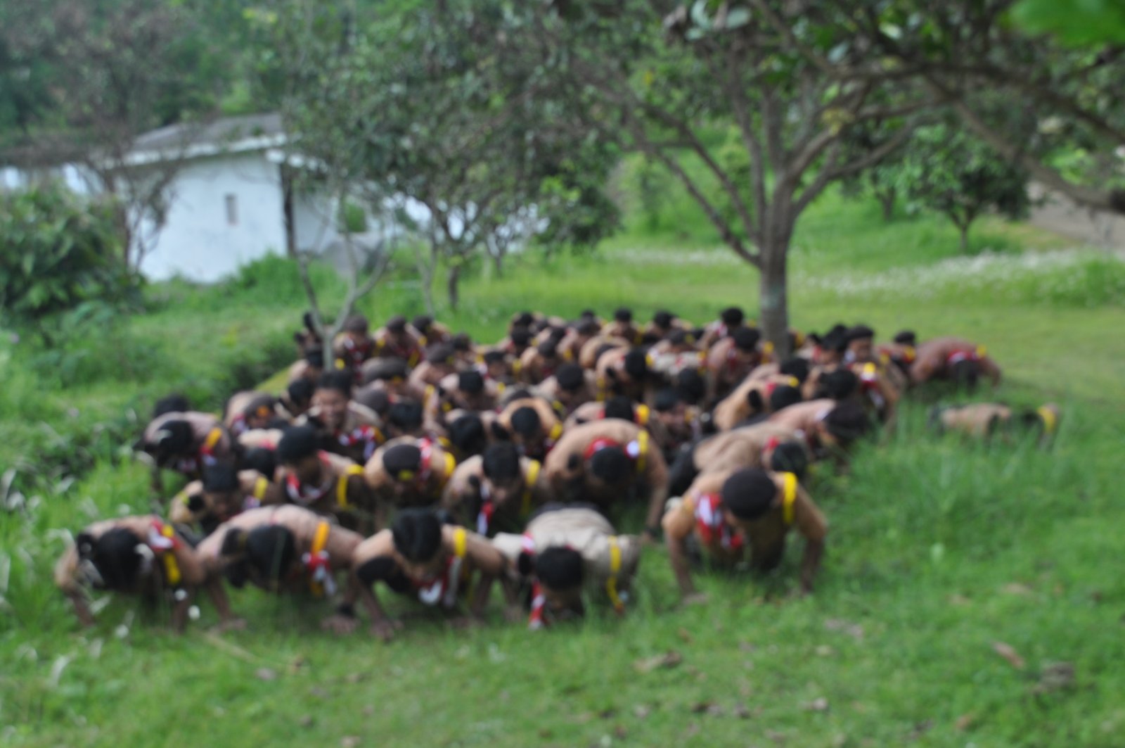 LDK Sekolah